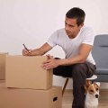 Tips for Safely Transporting Pets During a Long Distance Move